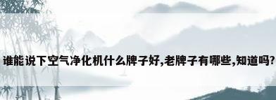 谁能说下空气净化机什么牌子好,老牌子有哪些,知道吗?