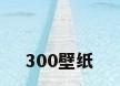 300壁纸