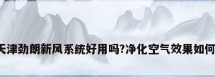 天津劲朗新风系统好用吗?净化空气效果如何?