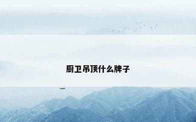 厨卫吊顶什么牌子