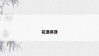 花洒吊顶