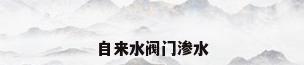 自来水阀门渗水