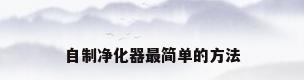 自制净化器最简单的方法