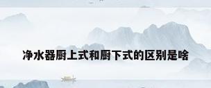 净水器厨上式和厨下式的区别是啥