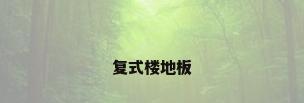 复式楼地板