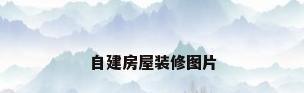 自建房屋装修图片