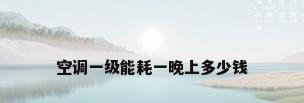 空调一级能耗一晚上多少钱