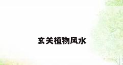 玄关植物风水