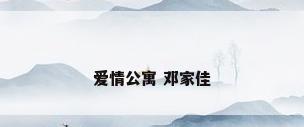 爱情公寓 邓家佳
