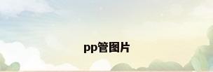 pp管图片