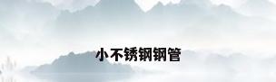 小不锈钢钢管