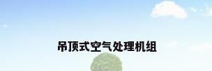 吊顶式空气处理机组