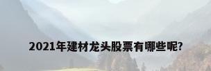 2021年建材龙头股票有哪些呢?