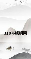 310不锈钢网