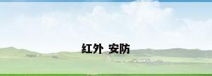 红外 安防