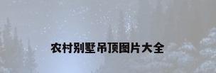 农村别墅吊顶图片大全