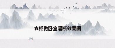 衣柜做卧室隔断效果图