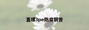直埋3pe防腐钢管