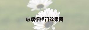 玻璃橱柜门效果图