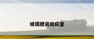 玻璃搪瓷反应釜