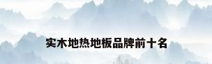 实木地热地板品牌前十名