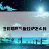 喜德瑞燃气壁挂炉怎么样