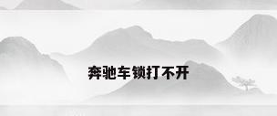 奔驰车锁打不开