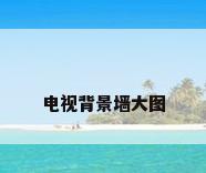 电视背景墙大图