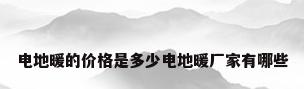 电地暖的价格是多少电地暖厂家有哪些