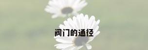 阀门的通径