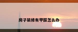 房子装修有甲醛怎么办