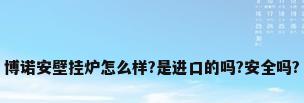 博诺安壁挂炉怎么样?是进口的吗?安全吗?