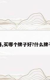 我想买电热水器,买哪个牌子好?什么牌子的质量最好呢