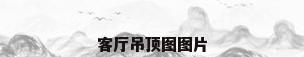 客厅吊顶图图片