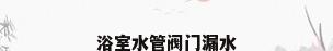 浴室水管阀门漏水