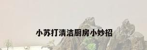 小苏打清洁厨房小妙招
