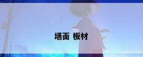 墙面 板材