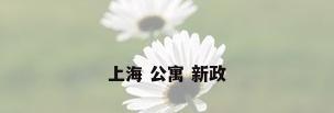 上海 公寓 新政