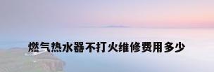 燃气热水器不打火维修费用多少