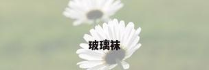 玻璃袜