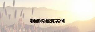 钢结构建筑实例