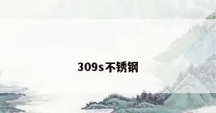 309s不锈钢