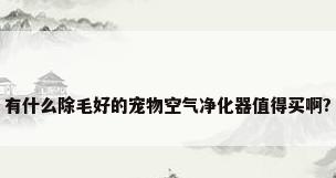 有什么除毛好的宠物空气净化器值得买啊?