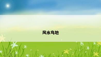 风水鸟地