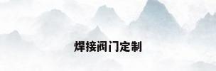 焊接阀门定制