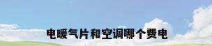 电暖气片和空调哪个费电