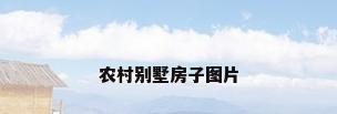 农村别墅房子图片