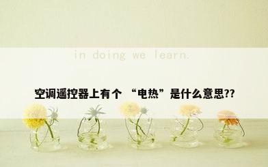 空调遥控器上有个 “电热”是什么意思??