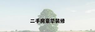 二手房豪华装修