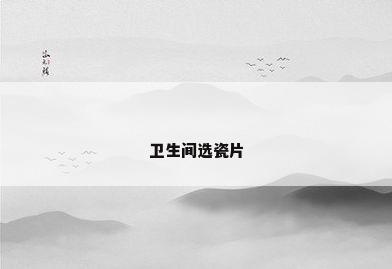 卫生间选瓷片